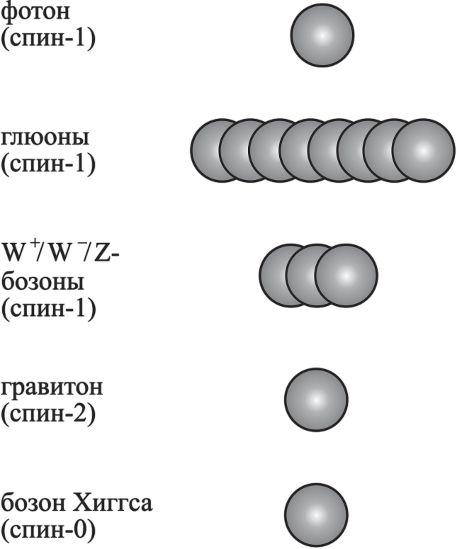 Частица на краю Вселенной. Как охота на бозон Хиггса ведет нас к границам нового мира - i_007.png