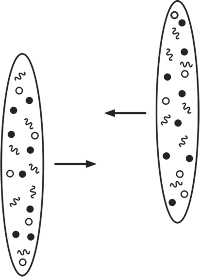 Частица на краю Вселенной. Как охота на бозон Хиггса ведет нас к границам нового мира - i_010.png