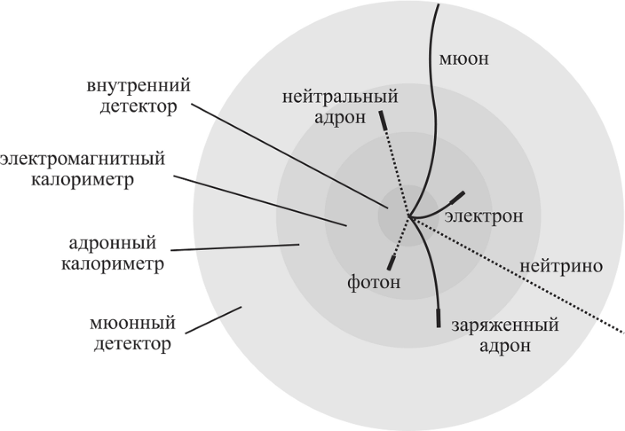 Частица на краю Вселенной. Как охота на бозон Хиггса ведет нас к границам нового мира - i_012.png