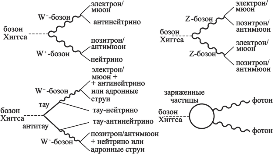 Частица на краю Вселенной. Как охота на бозон Хиггса ведет нас к границам нового мира - i_018.png
