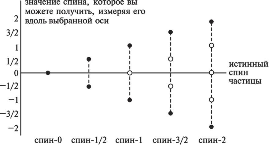 Частица на краю Вселенной. Как охота на бозон Хиггса ведет нас к границам нового мира - i_026.png