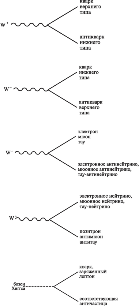 Частица на краю Вселенной. Как охота на бозон Хиггса ведет нас к границам нового мира - i_038.png