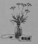 Семь желаний Ани - img_2.png