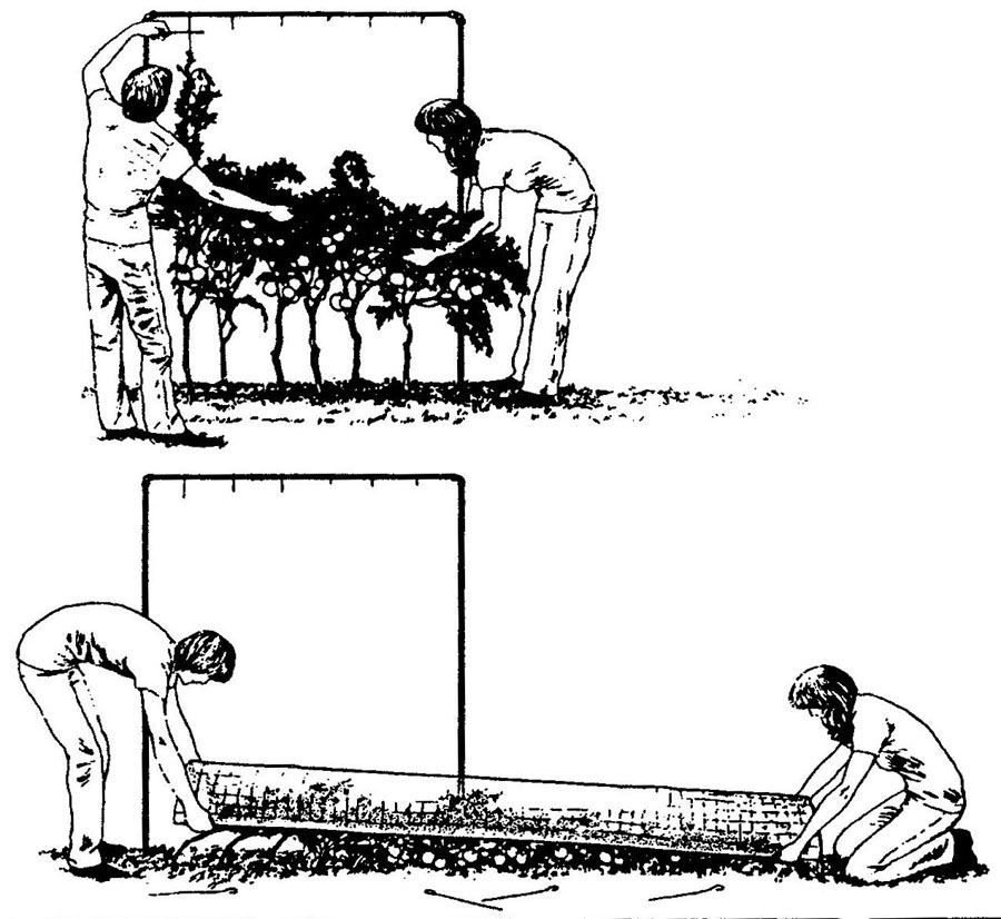 Этот необыкновенный квадрат - img_14.jpg