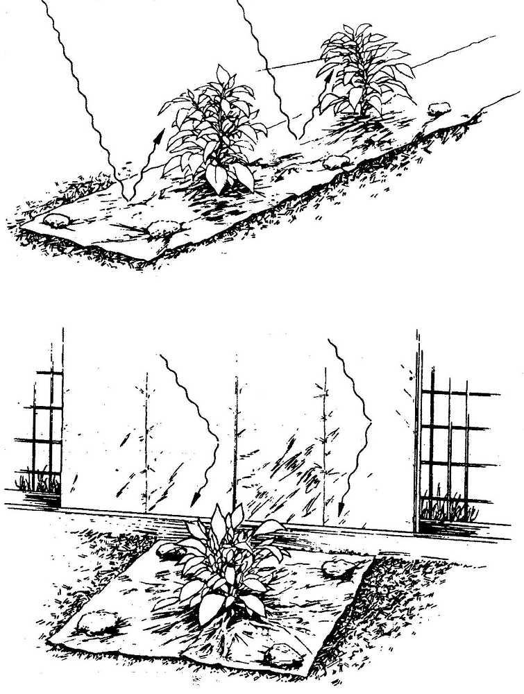 Этот необыкновенный квадрат - img_5.jpg