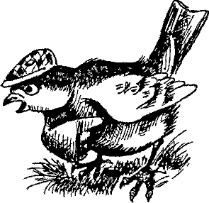 Кошмарное преступление в курятнике - pict_013.png