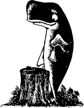 Кошмарное преступление в курятнике - pict_015.png