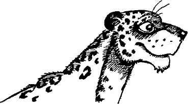 Кошмарное преступление в курятнике - pict_018.png