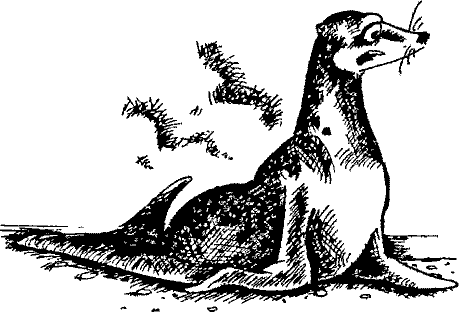 Кошмарное преступление в курятнике - pict_019.png