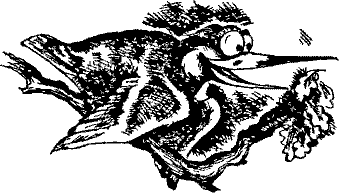 Кошмарное преступление в курятнике - pict_025.png