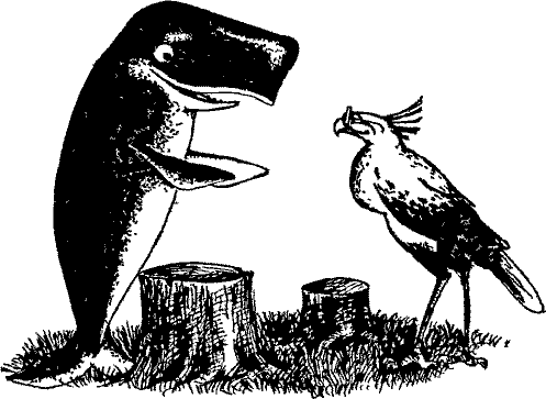 Кошмарное преступление в курятнике - pict_028.png