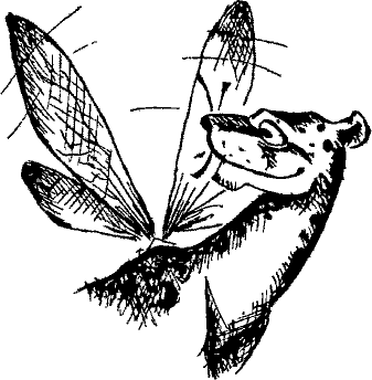 Кошмарное преступление в курятнике - pict_031.png