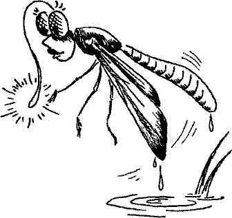 Кошмарное преступление в курятнике - pict_032.png