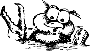 Кошмарное преступление в курятнике - pict_034.png