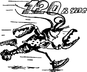 Кошмарное преступление в курятнике - pict_035.png