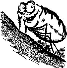 Кошмарное преступление в курятнике - pict_036.png