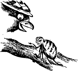 Кошмарное преступление в курятнике - pict_037.png