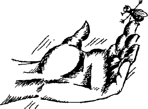 Кошмарное преступление в курятнике - pict_041.png