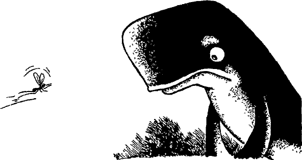 Кошмарное преступление в курятнике - pict_049.png