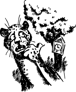 Кошмарное преступление в курятнике - pict_056.png