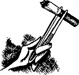 Кошмарное преступление в курятнике - pict_059.png