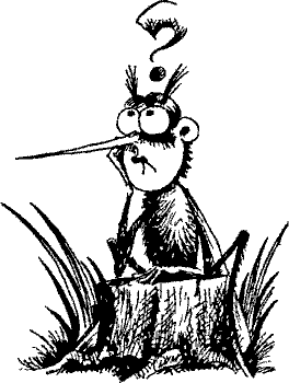 Кошмарное преступление в курятнике - pict_060.png