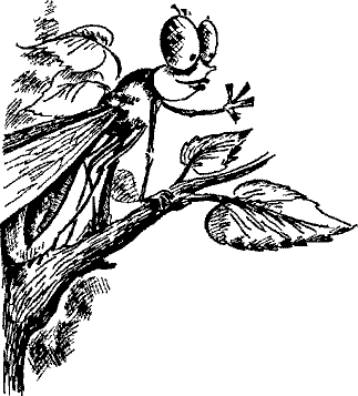 Кошмарное преступление в курятнике - pict_063.png