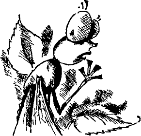 Кошмарное преступление в курятнике - pict_064.png