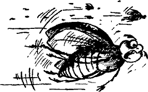 Кошмарное преступление в курятнике - pict_067.png