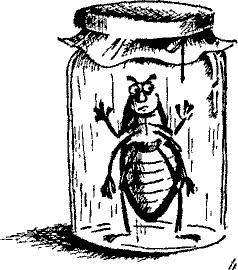 Кошмарное преступление в курятнике - pict_070.png