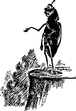 Кошмарное преступление в курятнике - pict_071.png