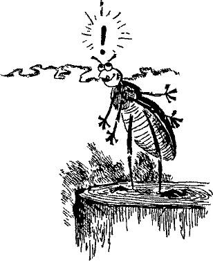 Кошмарное преступление в курятнике - pict_072.png