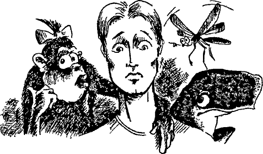 Кошмарное преступление в курятнике - pict_074.png