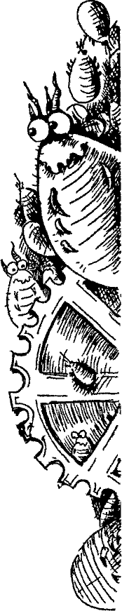 Кошмарное преступление в курятнике - pict_076.png