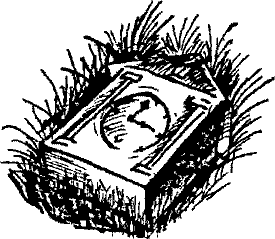 Кошмарное преступление в курятнике - pict_077_.png