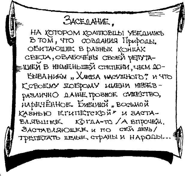 Кошмарное преступление в курятнике - pict_078.png