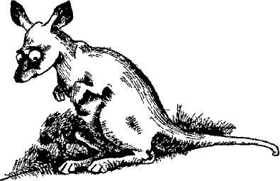 Кошмарное преступление в курятнике - pict_083.png