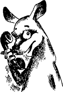 Кошмарное преступление в курятнике - pict_084.png