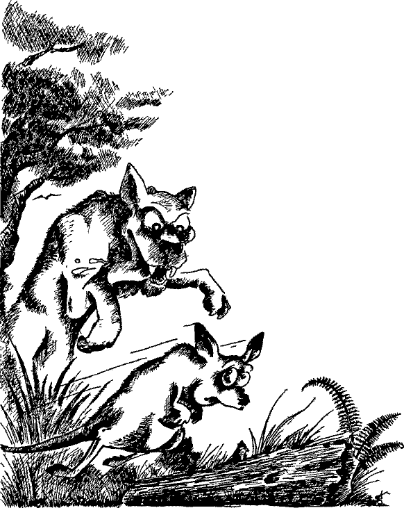 Кошмарное преступление в курятнике - pict_085.png