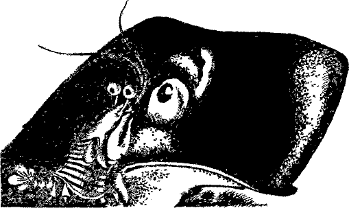 Кошмарное преступление в курятнике - pict_089.png