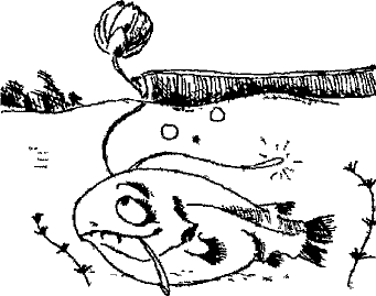 Кошмарное преступление в курятнике - pict_093.png