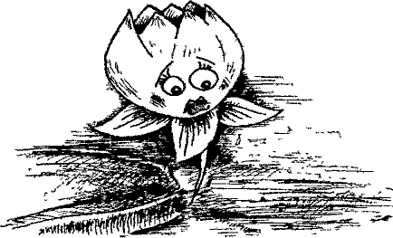 Кошмарное преступление в курятнике - pict_096.png