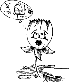 Кошмарное преступление в курятнике - pict_098.png