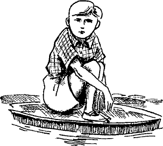 Кошмарное преступление в курятнике - pict_099.png