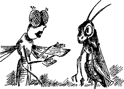 Кошмарное преступление в курятнике - pict_108.png