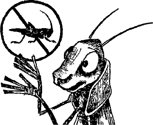 Кошмарное преступление в курятнике - pict_109.png