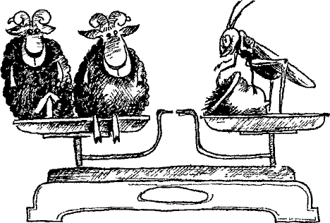 Кошмарное преступление в курятнике - pict_112.png