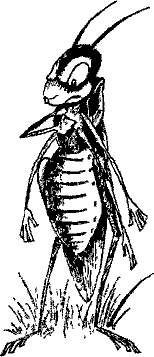 Кошмарное преступление в курятнике - pict_113.png