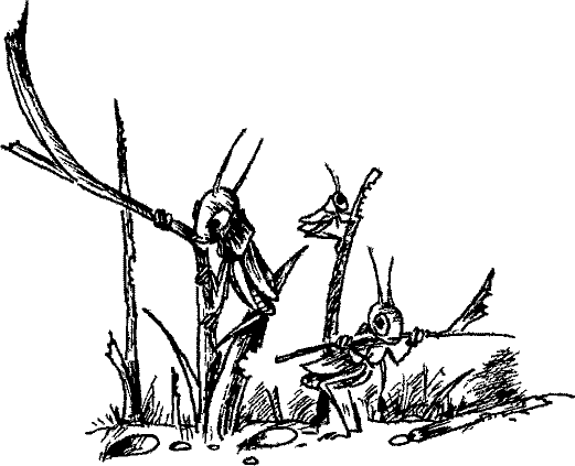 Кошмарное преступление в курятнике - pict_114.png