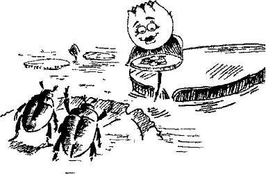 Кошмарное преступление в курятнике - pict_119.png